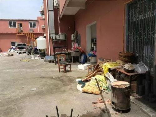 汕尾城区爆料案件最新,真相大白，警方全力追查！  第3张